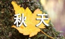 精选秋天初中作文4篇