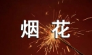 【荐】描写烟花的作文300字