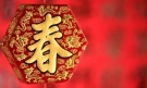 【集合】春节的烟花作文5篇