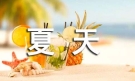 【推荐】夏天的小学作文合集十篇