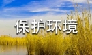 【精华】保护环境高中作文汇编5篇