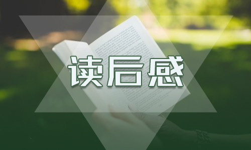 五年级小王子读后感小学500字7篇