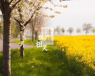2023幼儿园清明节主题班会教案最新3篇