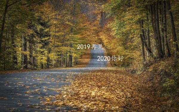 最新致自己往后努力生活迎接2020年的跨年励志说说3篇_再见2019您 ...
