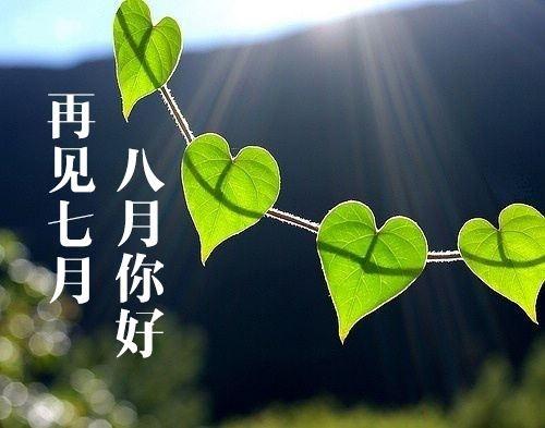 八月你来了_八月心情说说_八月心情随笔句子大全