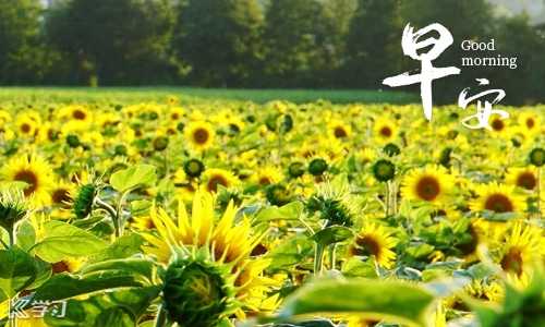 2021清晨励志正能量的句子