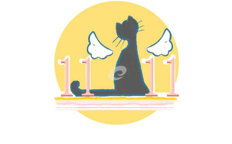 双十一霸气口号标语100句2021