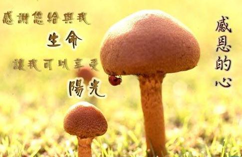 人要懂得感恩经典语录_朋友圈感恩语录
