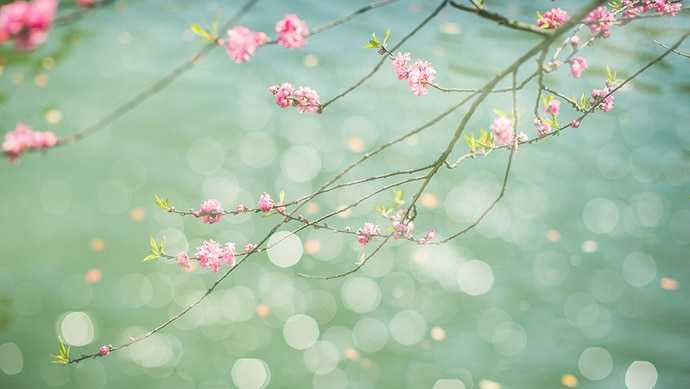 小学生清明节网上祭英烈献花留言2020