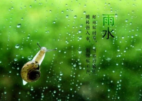 和雨水节气有关的谚语_24节气雨水的谚语