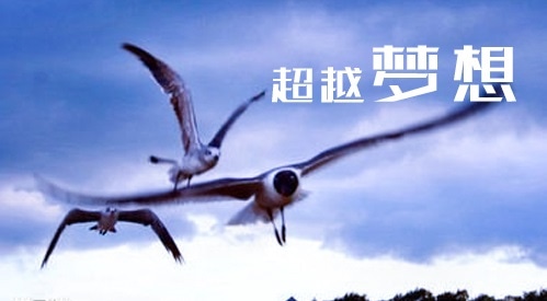 关于激励高三的励志标语集锦