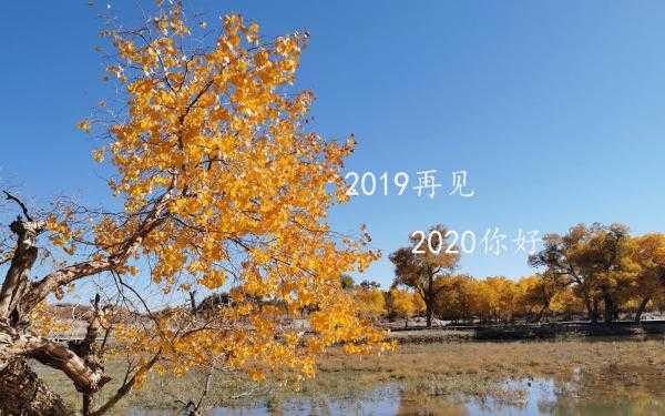 告别2019迎接2020的唯美说说早安语短句3篇_祝福2020的自己往后过 ...