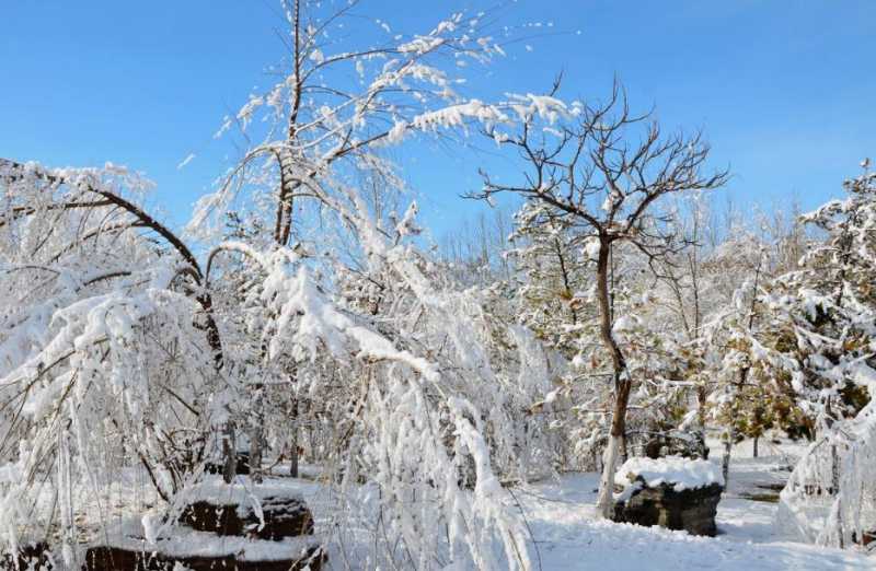 描写大雪天的诗句_漫漫大雪的诗句