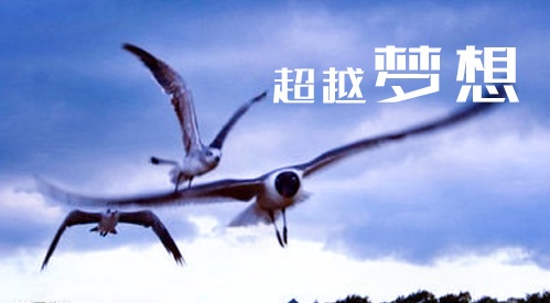 2020关于疫情的早安励志句子