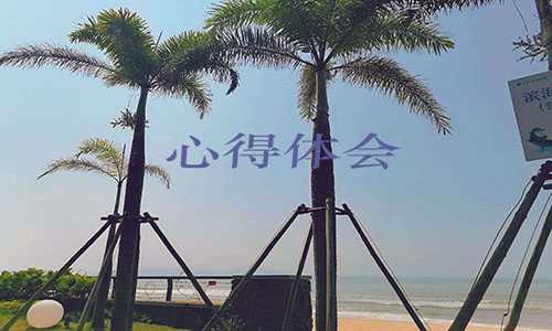 教师个人学习心得体会五篇