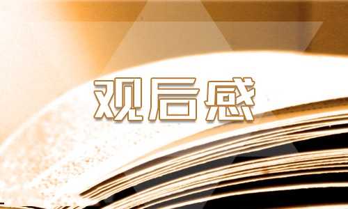 初一以长津湖之水门桥为主题的观后感