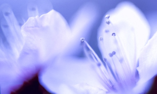 教师节歌颂恩师的祝福语