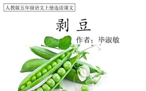 剥豆子有感生活随笔
