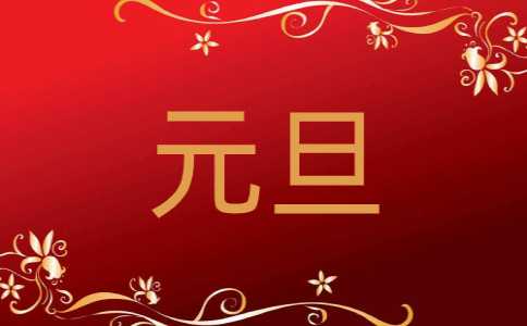 有关元旦节的初中作文