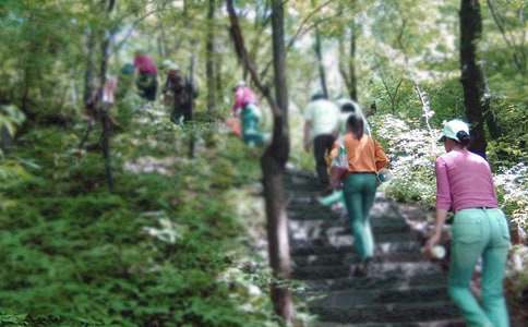 大学爬山活动总结模板