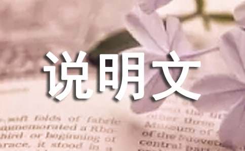 【推荐】说明文的作文300字10篇