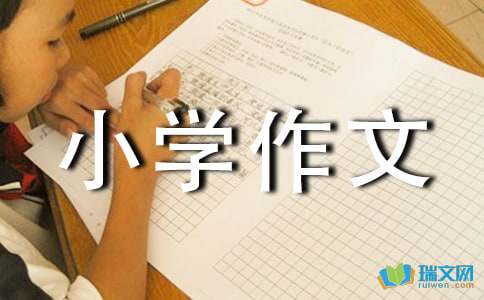 这就是我的小学作文550字