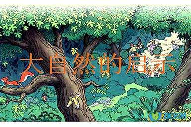 大自然的启示作文400字「佳作」