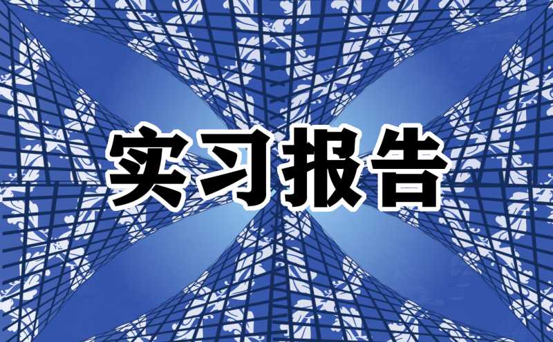 保险公司实习报告3000字五篇