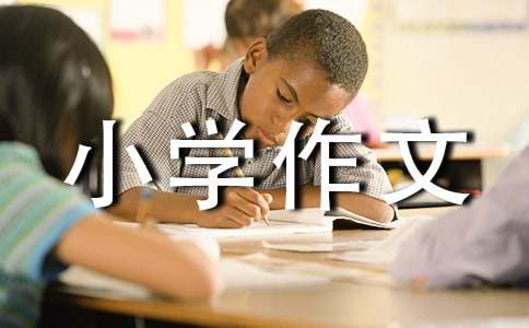 【热门】我敬佩的一个人小学作文