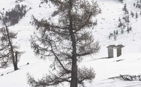 冬季扫雪应急预案