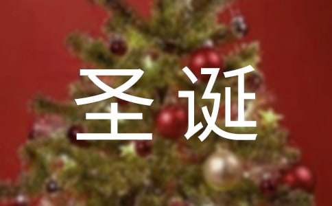 【精华】三年级圣诞作文锦集5篇