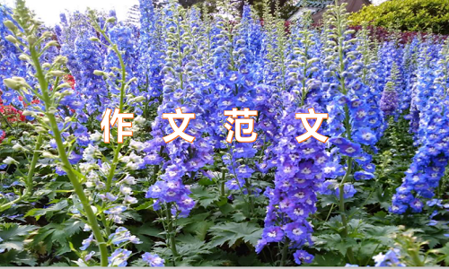熟悉的地方初三作文六百字