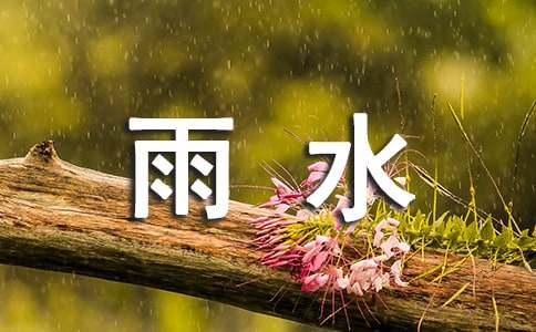 雨水作文400字(精选5篇)