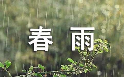 描写春雨的作文【热】