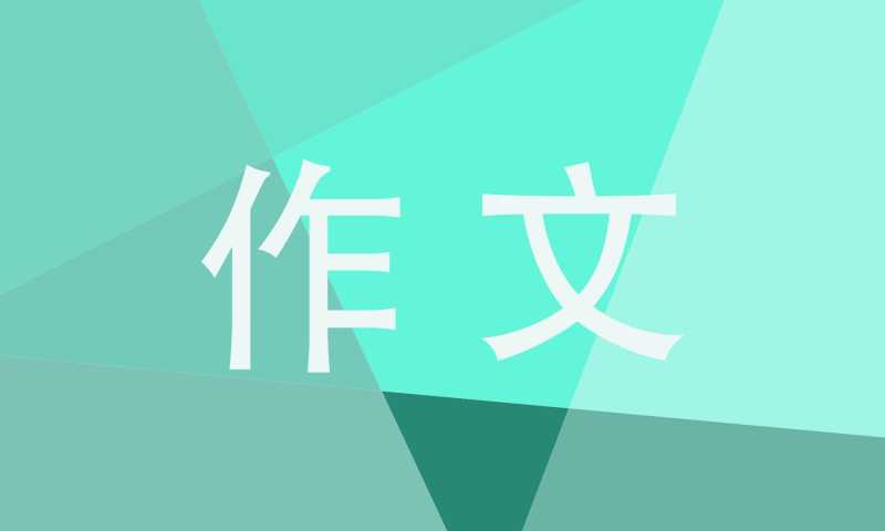 高二执着优秀作文800字