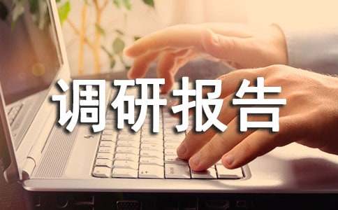 调研报告策划书范本3篇