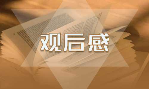《建国大业》观后感400字最新范文