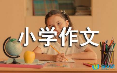 生活中的传统文化小学作文300字