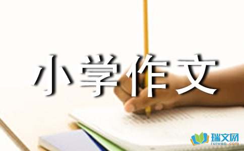 说说我的心里话小学作文800字