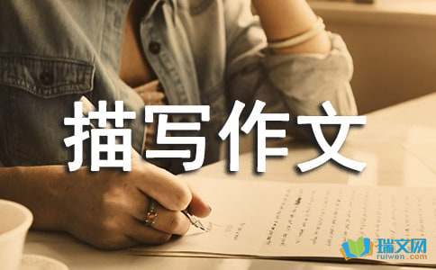 关于家务的描写作文200字