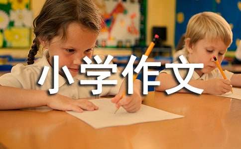 夏雨小学作文15篇