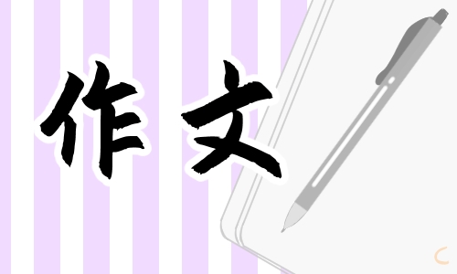 高二关于亲情的高分作文800字