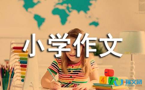 生活中的传统文化小学作文250字