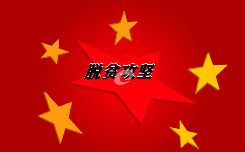 决胜脱贫攻坚个人年度工作总结