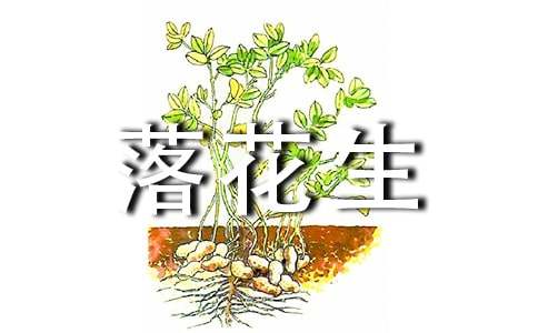 《落花生》语文课件