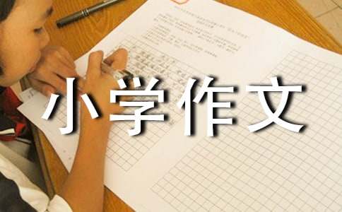 我的乐趣小学作文8篇