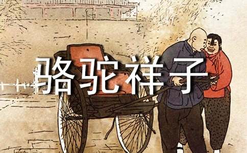 《骆驼祥子》读后感3000字（通用6篇）