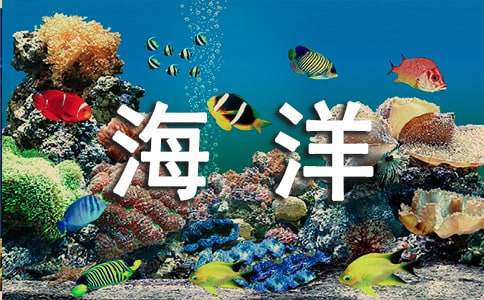 精选未来的海洋作文300字六篇