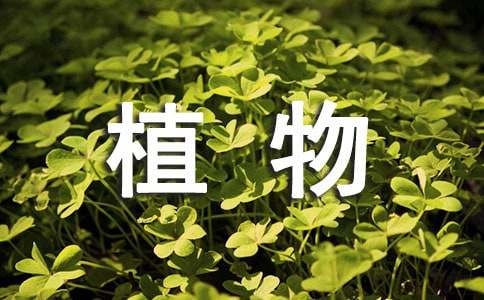 植物的共同特点教案课件教学设计