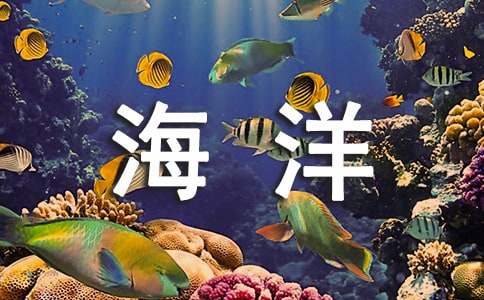 【推荐】写海洋的作文合集6篇